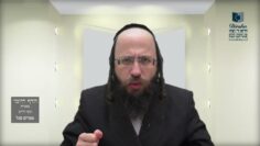 הדף היומי מסכת חולין דף צג