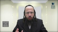 הדף היומי מסכת חולין דף צז