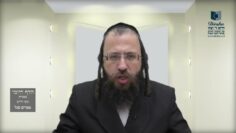 הדף היומי מסכת מנחות דף פד
