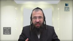 הדף היומי מסכת מנחות דף פח