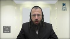 הדף היומי מסכת מנחות דף צ