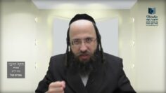 הדף היומי מסכת מנחות דף צא