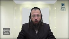 הניח עירוב תחומין חצי מהשבת לצד צפון וחצי מהשבת לצד