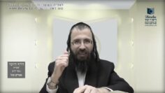 העמוד היומי בעברית מסכת יומא דף מא עמוד ב