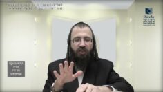 העמוד היומי בעברית מסכת יומא דף מב עמוד ב