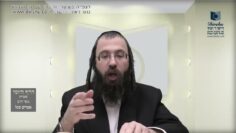 העמוד היומי בעברית מסכת יומא דף מג עמוד א