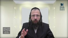 כיצד משערים מזון שתי סעודות לצורך עירובי תחומין?- ת"ט ז'