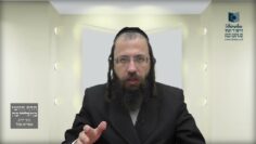 מדוע הנחת עירוב תחומין בבית הקברות אינה מועילה?- ת"ח ג'