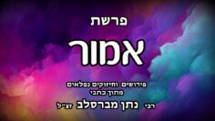 פרשת אמור