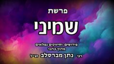 פרשת שמיני