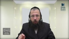 קניית שביתה במקום מסוים ע"י דיבור בלבד- ת"ט י"א