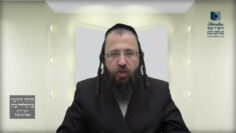 שליח היוצא לקנות שביתה עבור אחרים וחזר ולא קנה- ת"י