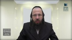 בחר מדוע לא מקדשין הלבנה בליל שבת?- תכ"ו ב'