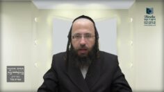 האם ביום הכיפורים יש איסור הוצאה מרשות לרשות?- תט"ז ג'