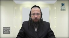 האם בשבת הגדול יוצאים יד"ח בדרשה העוסקת בפלפול?- תכ"ט א'
