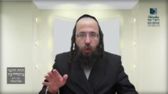 האם מותר לדבר באמצע אמירת ההלל?- תכ"ב ד' - ז'