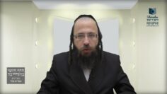 האם עיוור חייב בקידוש לבנה?- תכ"ה ב' - ג' תכ"ו