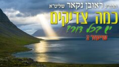 הגאון הרב ראובן נקאר שליט"א || כמה צדיקים יש בכל