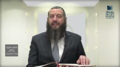 הדף היומי ירושלמי מסכת יבמות דף ז