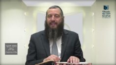 הדף היומי ירושלמי מסכת יבמות דף ח