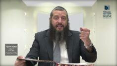 הדף היומי ירושלמי מסכת יבמות דף טז