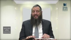 הדף היומי ירושלמי מסכת יבמות דף י