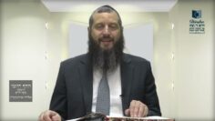הדף היומי ירושלמי מסכת יבמות דף יב