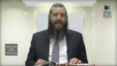 הדף היומי ירושלמי מסכת יבמות דף יד
