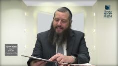 הדף היומי ירושלמי מסכת יבמות דף יז