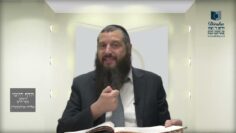הדף היומי ירושלמי מסכת יבמות דף יט