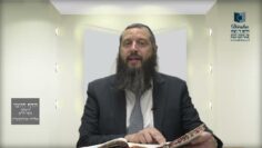הדף היומי ירושלמי מסכת יבמות דף כא