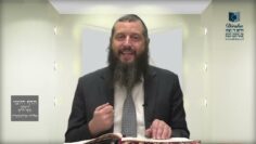 הדף היומי ירושלמי מסכת יבמות דף כג