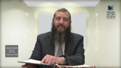 הדף היומי ירושלמי מסכת יבמות דף כד