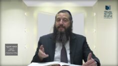 הדף היומי ירושלמי מסכת מועד קטן דף טו