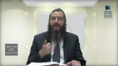 הדף היומי ירושלמי מסכת מועד קטן דף טז