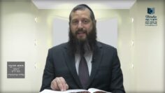 הדף היומי ירושלמי מסכת מועד קטן דף יא