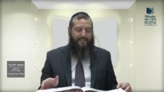 הדף היומי ירושלמי מסכת מועד קטן דף יב