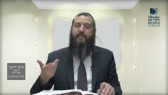 הדף היומי ירושלמי מסכת מועד קטן דף יג