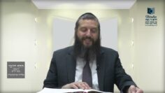 הדף היומי ירושלמי מסכת מועד קטן דף כג