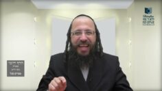 הדף היומי מסכת חולין דף קג