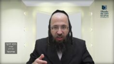 הדף היומי מסכת חולין דף קו