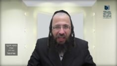 הדף היומי מסכת חולין דף קיג