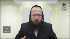 הדף היומי מסכת חולין דף קיט