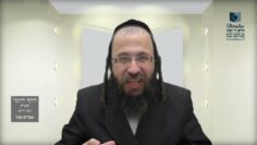 הדף היומי מסכת חולין דף קכב
