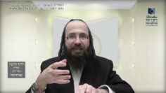 העמוד היומי בעברית מסכת יומא דף מט עמוד ב