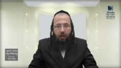 מדוע לא אומרים תחנון בחודש ניסן?- תכ"ט ב'