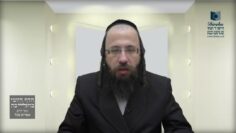 מדוע מברכים על הלבנה במוצאי שבת?- תכ"ו ב'
