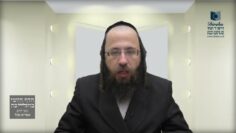 מדוע מדלגים בהלל בראש חודש?- תכ"ב ב' - ג'