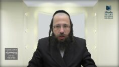 מה הטעם שאומרים 'שלום עליכם' בברכת הלבנה?- תכ"ו ב' -