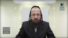 מתי מחלקים את פרשיות נצבים וילך לשני קריאות?- תכ"ח ד'
